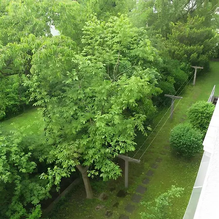 Nidalia In
