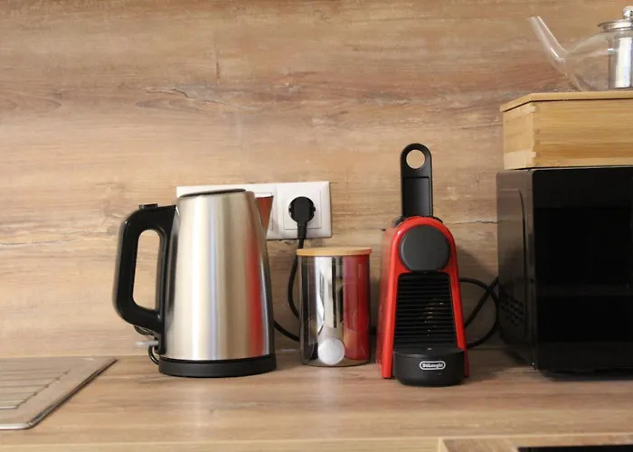 Nidalia In * 格拉茨